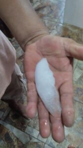 WhatsApp-Image-2024-10-19-at-21.14.01-169x300 CHUVA, VENDAVAL E GRANIZO, MUDA A PAISAGEM NO INTERIOR DO ACRE.