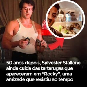 495462434_1230559255325301_5847532663314021421_n-300x300 Sylvester Stallone e as tartarugas de ROCKY.