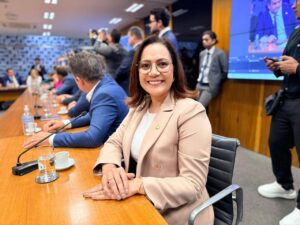 WhatsApp-Image-2026-10-06-at-18.02.00-1-300x225 EM REUNIÃO DA UNIÃO PROGRESSISTA, MAILZA REAFIRMA APOIO A FLÁVIO BOLSONARO NO SEGUNDO TURNO.